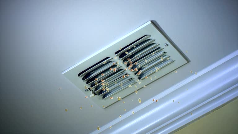 Best Residential Air Duct Cleaning  in Virginia Beach, VA