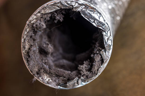 Best Air Vent Cleaning Services  in Virginia Beach, VA